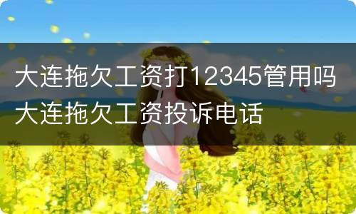 大连拖欠工资打12345管用吗 大连拖欠工资投诉电话