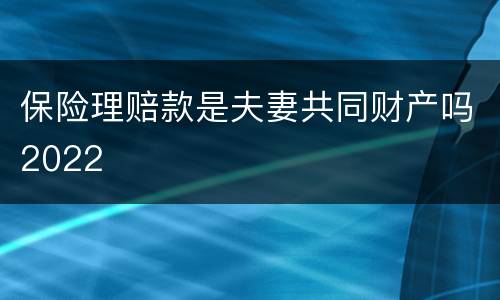 保险理赔款是夫妻共同财产吗2022