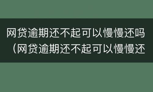 网贷逾期还不起可以慢慢还吗（网贷逾期还不起可以慢慢还吗怎么办）