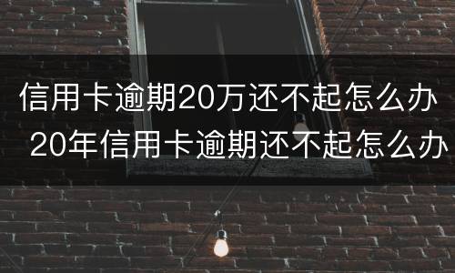 信用卡逾期20万还不起怎么办 20年信用卡逾期还不起怎么办
