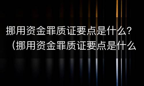 挪用资金罪质证要点是什么？（挪用资金罪质证要点是什么意思）