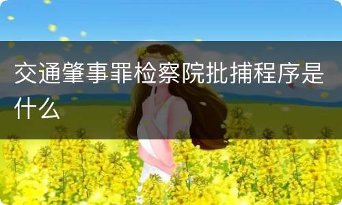 交通肇事罪检察院批捕程序是什么