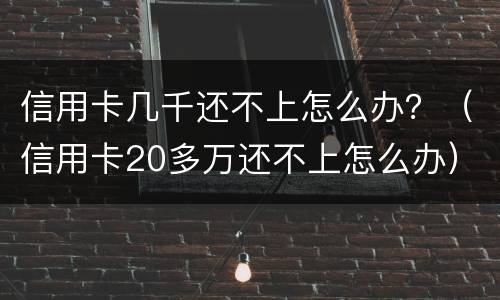 信用卡几千还不上怎么办？（信用卡20多万还不上怎么办）