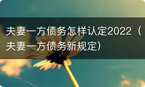 夫妻一方债务怎样认定2022（夫妻一方债务新规定）