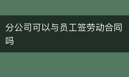 分公司可以与员工签劳动合同吗
