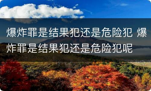 爆炸罪是结果犯还是危险犯 爆炸罪是结果犯还是危险犯呢