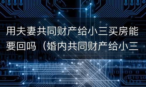 用夫妻共同财产给小三买房能要回吗（婚内共同财产给小三买房）
