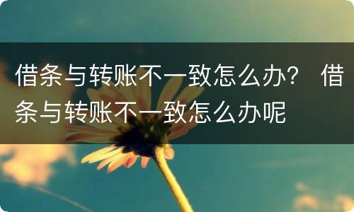 借条与转账不一致怎么办？ 借条与转账不一致怎么办呢