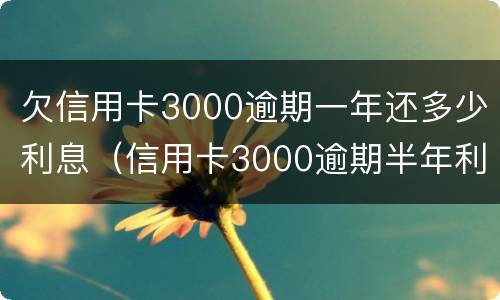 欠信用卡3000逾期一年还多少利息（信用卡3000逾期半年利息多少）