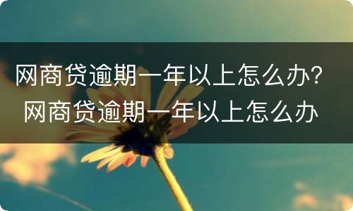 网商贷逾期一年以上怎么办？ 网商贷逾期一年以上怎么办