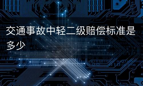 交通事故中轻二级赔偿标准是多少