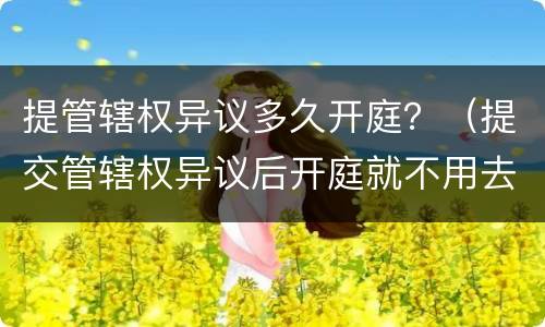 提管辖权异议多久开庭？（提交管辖权异议后开庭就不用去了吧）