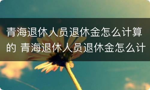 青海退休人员退休金怎么计算的 青海退休人员退休金怎么计算的呀