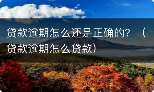 贷款逾期怎么还是正确的？（贷款逾期怎么贷款）