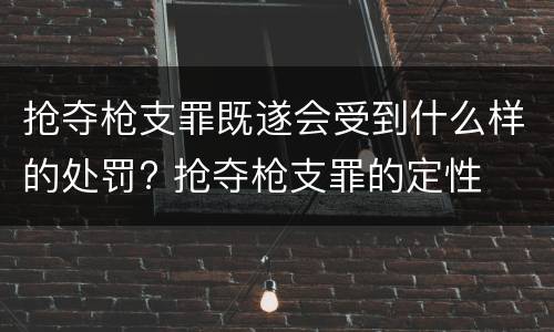 抢夺枪支罪既遂会受到什么样的处罚? 抢夺枪支罪的定性