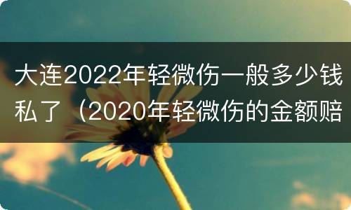 大连2022年轻微伤一般多少钱私了（2020年轻微伤的金额赔偿标准）