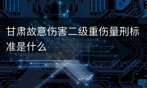 甘肃故意伤害二级重伤量刑标准是什么