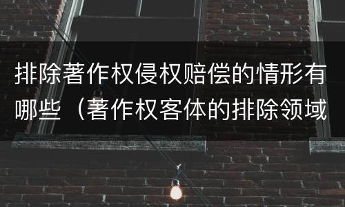 排除著作权侵权赔偿的情形有哪些（著作权客体的排除领域内容包括哪些方面）