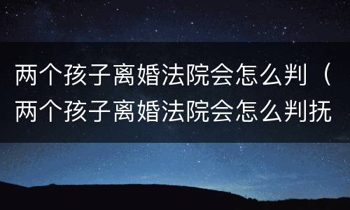 两个孩子离婚法院会怎么判（两个孩子离婚法院会怎么判抚养权）