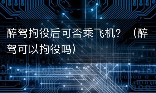 醉驾拘役后可否乘飞机？（醉驾可以拘役吗）