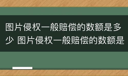 图片侵权一般赔偿的数额是多少 图片侵权一般赔偿的数额是多少啊