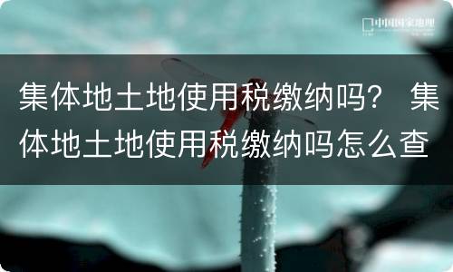 集体地土地使用税缴纳吗？ 集体地土地使用税缴纳吗怎么查