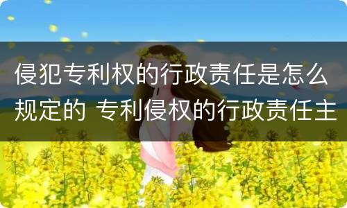 侵犯专利权的行政责任是怎么规定的 专利侵权的行政责任主要有