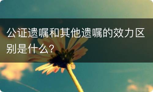 公证遗嘱和其他遗嘱的效力区别是什么？