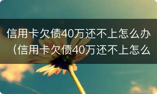 信用卡欠债40万还不上怎么办（信用卡欠债40万还不上怎么办呀）