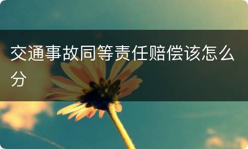 交通事故同等责任赔偿该怎么分