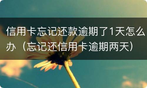 信用卡忘记还款逾期了1天怎么办（忘记还信用卡逾期两天）