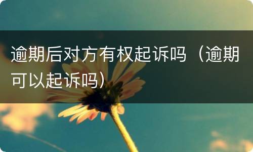 逾期后对方有权起诉吗（逾期可以起诉吗）