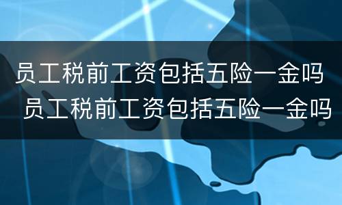员工税前工资包括五险一金吗 员工税前工资包括五险一金吗合法吗