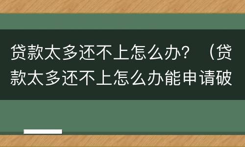 贷款太多还不上怎么办？（贷款太多还不上怎么办能申请破产吗）