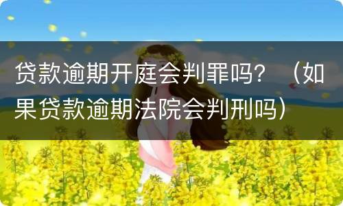 贷款逾期开庭会判罪吗？（如果贷款逾期法院会判刑吗）