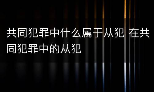 共同犯罪中什么属于从犯 在共同犯罪中的从犯