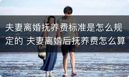 夫妻离婚抚养费标准是怎么规定的 夫妻离婚后抚养费怎么算