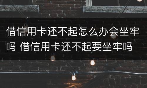 借信用卡还不起怎么办会坐牢吗 借信用卡还不起要坐牢吗