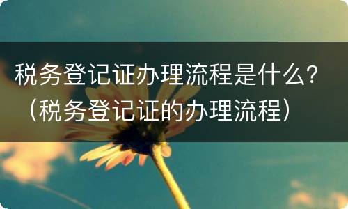税务登记证办理流程是什么？（税务登记证的办理流程）