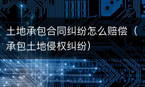 土地承包合同纠纷怎么赔偿（承包土地侵权纠纷）