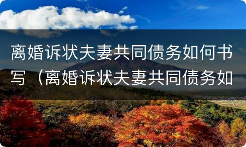 离婚诉状夫妻共同债务如何书写（离婚诉状夫妻共同债务如何书写才有效）