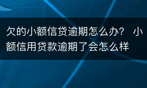 欠的小额信贷逾期怎么办？ 小额信用贷款逾期了会怎么样