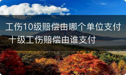工伤10级赔偿由哪个单位支付 十级工伤赔偿由谁支付