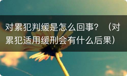 对累犯判缓是怎么回事？（对累犯适用缓刑会有什么后果）