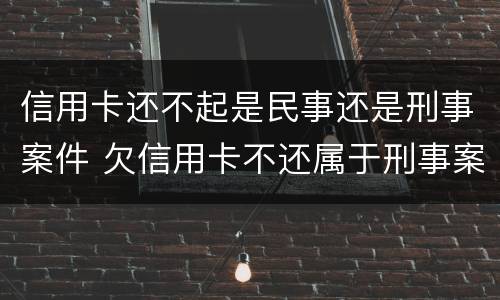 信用卡还不起是民事还是刑事案件 欠信用卡不还属于刑事案件吗