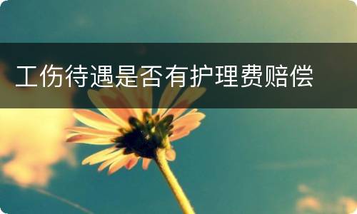 工伤待遇是否有护理费赔偿