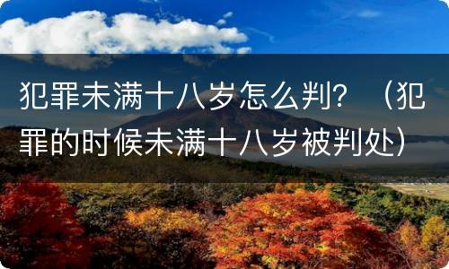 犯罪未满十八岁怎么判？（犯罪的时候未满十八岁被判处）