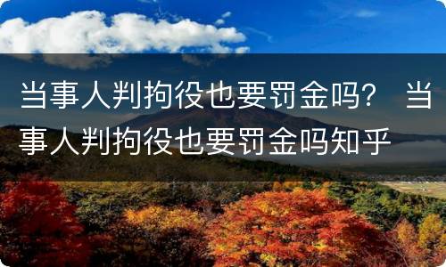 当事人判拘役也要罚金吗？ 当事人判拘役也要罚金吗知乎