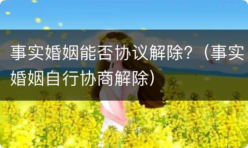 事实婚姻能否协议解除?（事实婚姻自行协商解除）