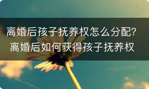 离婚后孩子抚养权怎么分配？ 离婚后如何获得孩子抚养权